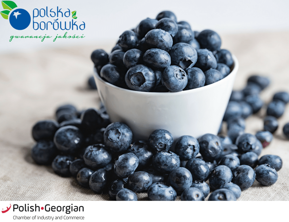 You are currently viewing The member of the Polish-Georgian Chamber of Industry and Commerce – Polska Borówka company offers the highest quality seedlings of raspberries, blackberries, strawberries, and other berry crops