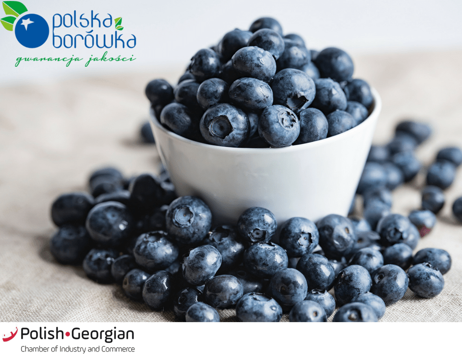 Read more about the article The member of the Polish-Georgian Chamber of Industry and Commerce – Polska Borówka company offers the highest quality seedlings of raspberries, blackberries, strawberries, and other berry crops